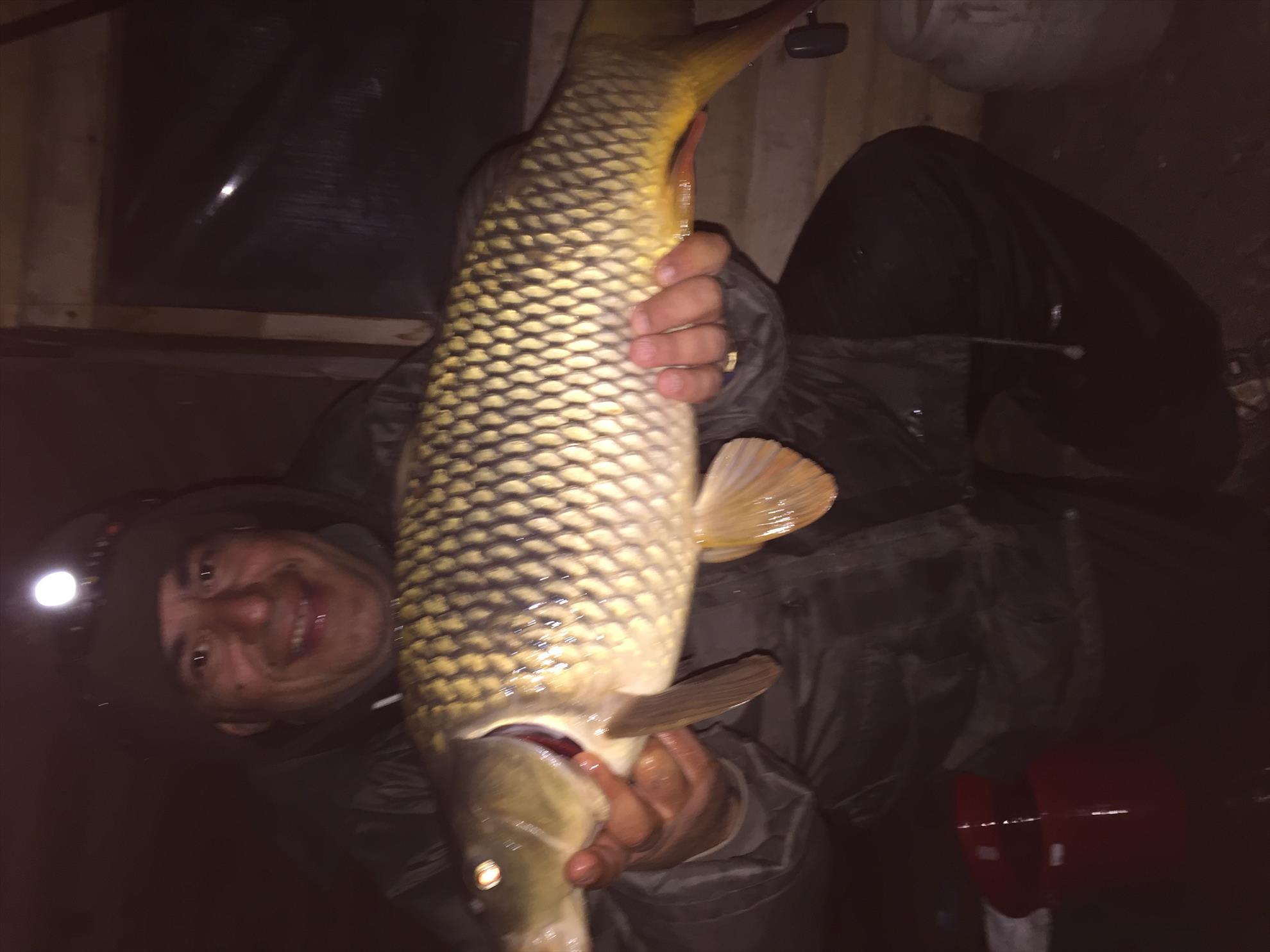 cristi stanciulescu - balta vlahii 23 04 2016